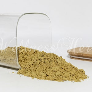 Premium Quality Pumpkin Seed Protein Powder |  omega-3 Pumpkin Seeds