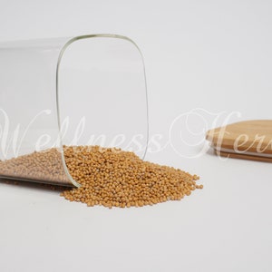 Premium Quality White Mustard Seeds | White Mustard Seeds | Mustard | Sinapis Alba | Spices | Dried Seeds, Flavorful | Cooking | Specialty