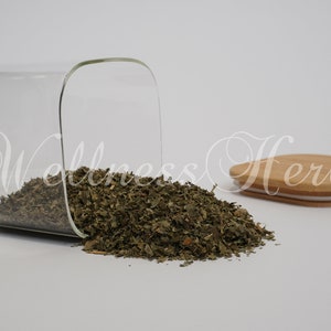 Premium Quality Blackberry Leaf | Rubus fruticosus