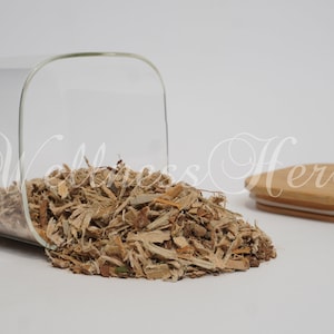 Premium Quality Elm Bark | Ulmus Procera