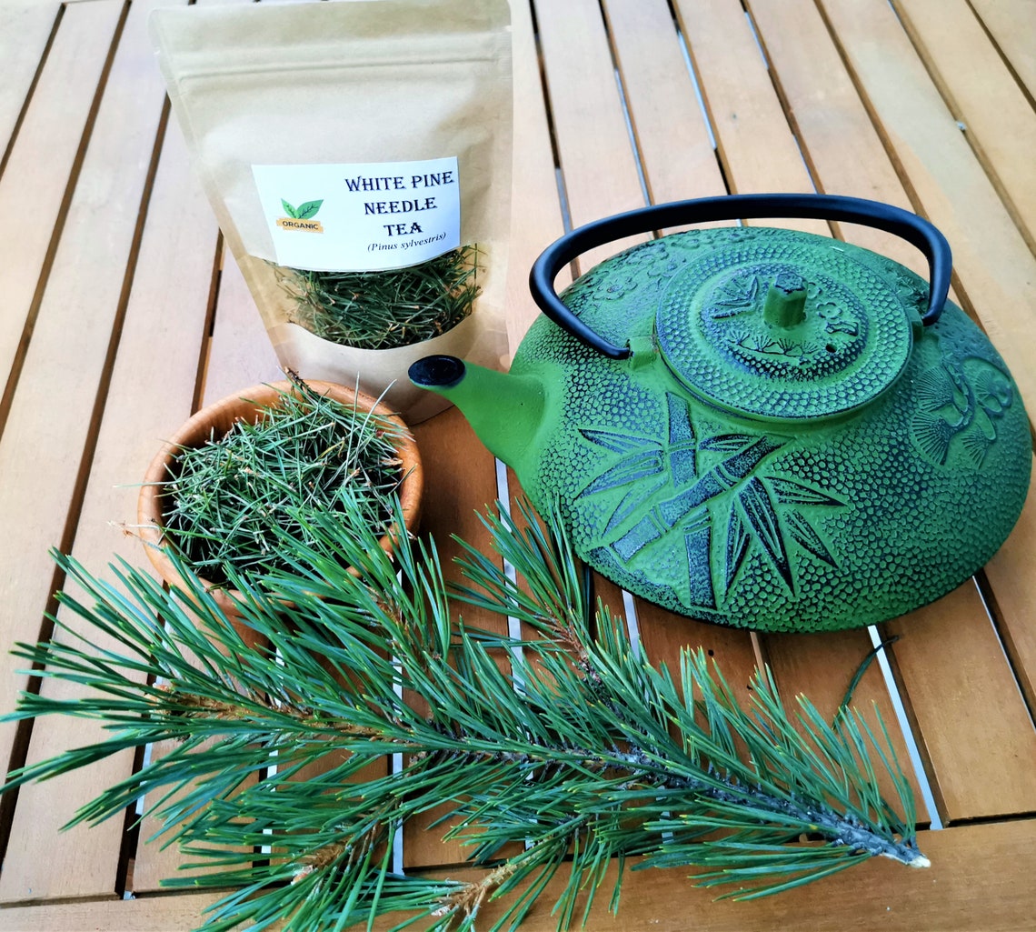 White Pine Needle Tea White Pine Etsy