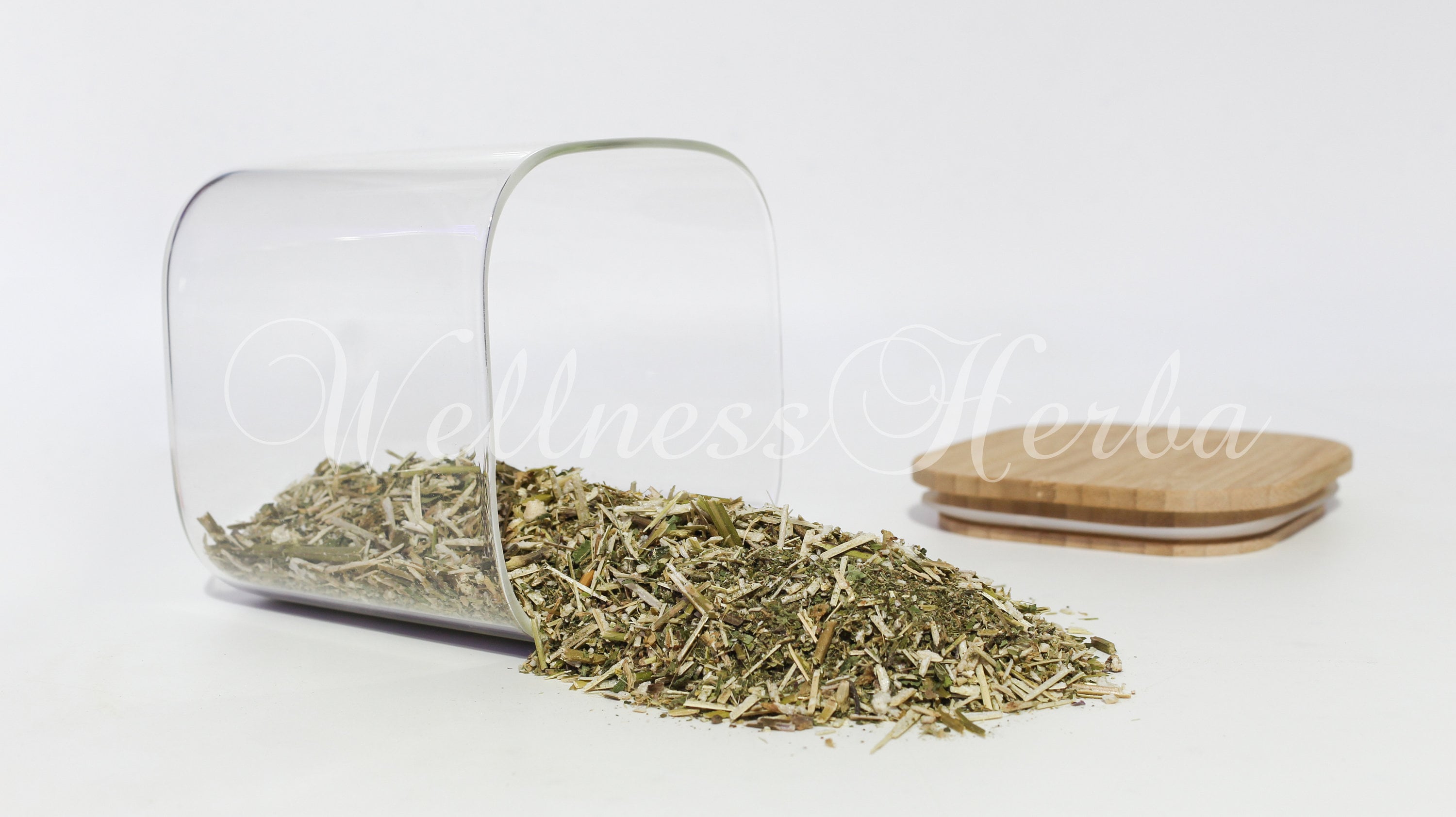 Premium-Qualität Hanf Brennesselkraut | Galeopsis L. - Galeopsis (Tetrahit).