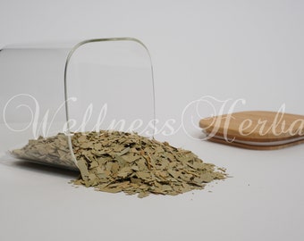 Hoja de eucalipto / Eucalyptus globulus / TÉ de eucalipto