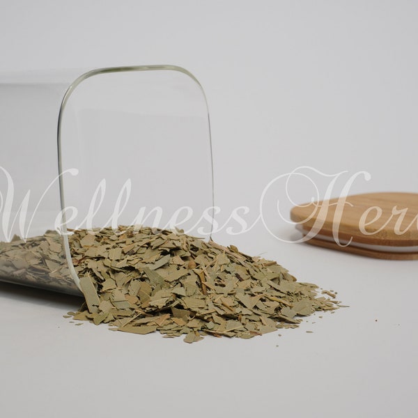 Eucalyptus Leaf |  Eucalyptus globulus | Eucalyptus TEA