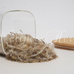 Premium Quality Coltsfoot Flower | Tussilago farfara | COLTSFOOT Flower Tea | Tusilago Farfara Flos