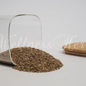 Premium Quality Dill Seeds |   Anethum graveolens