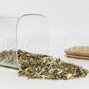 Premium Quality Echinacea Herb | Echinacea Tea | Echinacea Purpurea