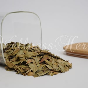 Premium Quality Myrtle Leaf | Myrtle Leaves | Myrtus Communis