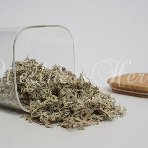 Oakmoss | Oakmoss Herb | Evernia prunastri