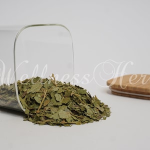 Premium Quality Black Currant Tea | Black Currant Leaf | Ribes nigrum