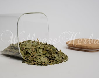 Premium Quality Black Currant Tea | Black Currant Leaf | Ribes nigrum