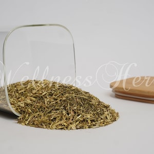 Premium-Qualität süßer Wermut | Bio | Artemisia annua | |  Süße Annie Tee
