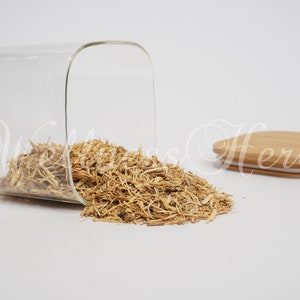 Premium Quality Angelica Root |  Radix Archangelicae