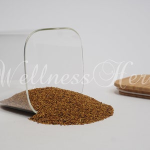 Premium Quality Alfalfa Seeds | Medicago Sativa