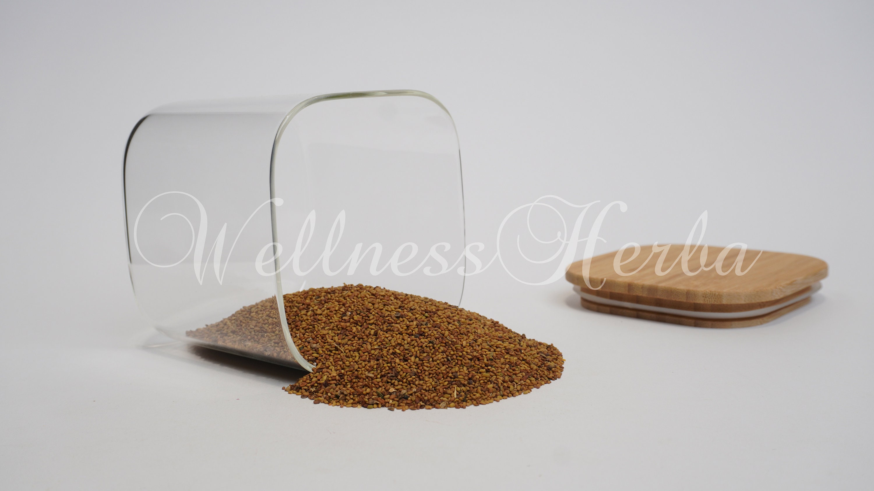 Semi Di Erba Medica Bio Biojoy - 500g | Per Germogli E Coltivazione | Naturale E Senza OGM - Foto 4