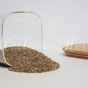 Premium Quality Caraway Seed | Carum Carvi