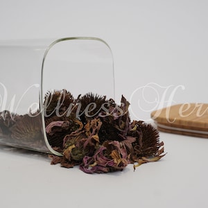Premium Quality Echinacea purpurea Flowers | Echinacea Tea  | Dried