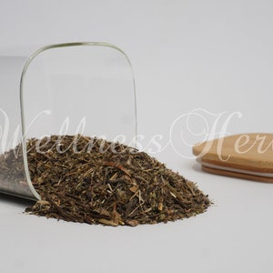Premium Quality Plantain Leaf | Greater Plantain Leaf Organic | (Plantago Major) | Plantain Tea