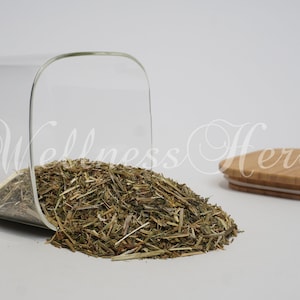 Premium Quality Cleavers Herb |  Galium aparine