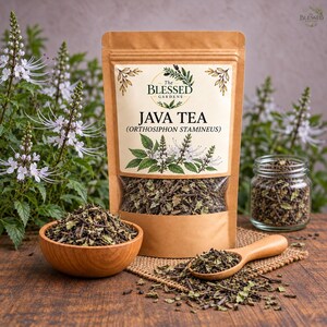 Java Tea (Orthosiphon Stamineus) - Loose Leaf Tea, Dried Cat's Whiskers Leaf, Natural Herbal Infusion, Wild-Harvested Botanicals