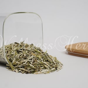 Premium Quality Wood Betony Herb| Organic  | Stachys officinalis