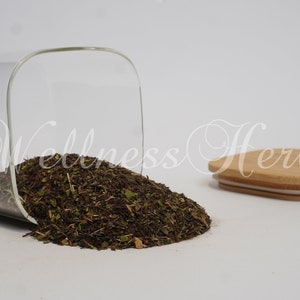 Premium Quality Maidenhair Spleenwort Herb | Asplenium Trichomanes