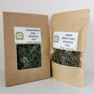 White Pine Needle Tea | Fresh Or Dried Organic | Pine Needles For  Tea  | Fresh Pine Needles | Pine Needles Tea | Fresh Pine Needles for Tea