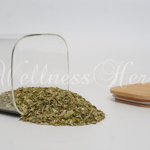 Premium Quality Smoke Tree Leaf | Cotinus coggygria |