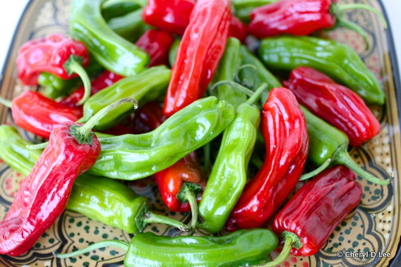 Japanese Mild Pepper Vegetable Container Garden 60-80 Day Maturity Scoville 50-200 Non-GMO Shishito Pepper 35 SEEDS