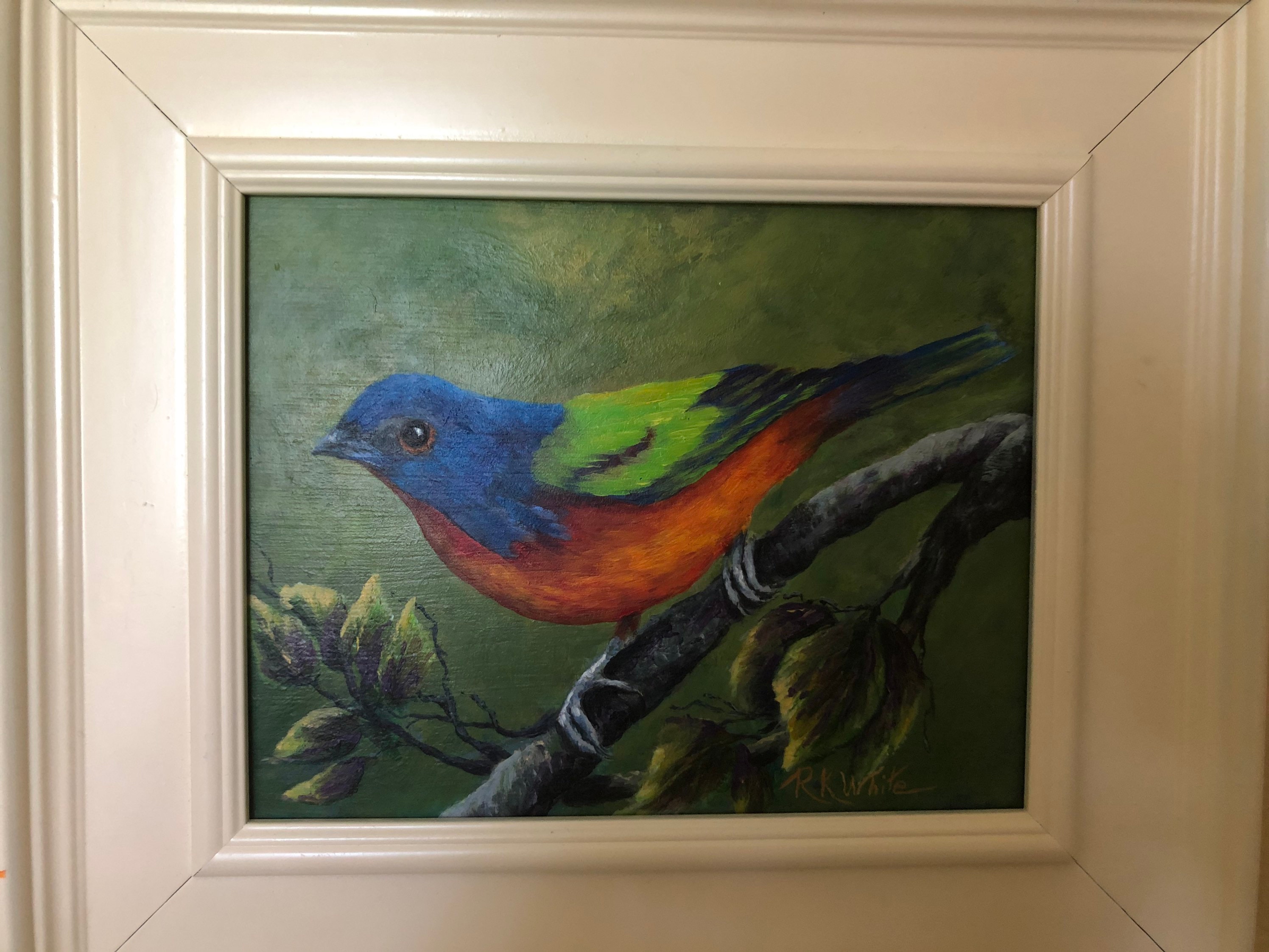 Painted Bunting Etsy