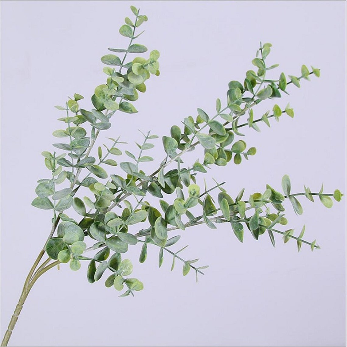 Artificial Silk Eucalyptus Tree Branch Leaves Simulation Etsy