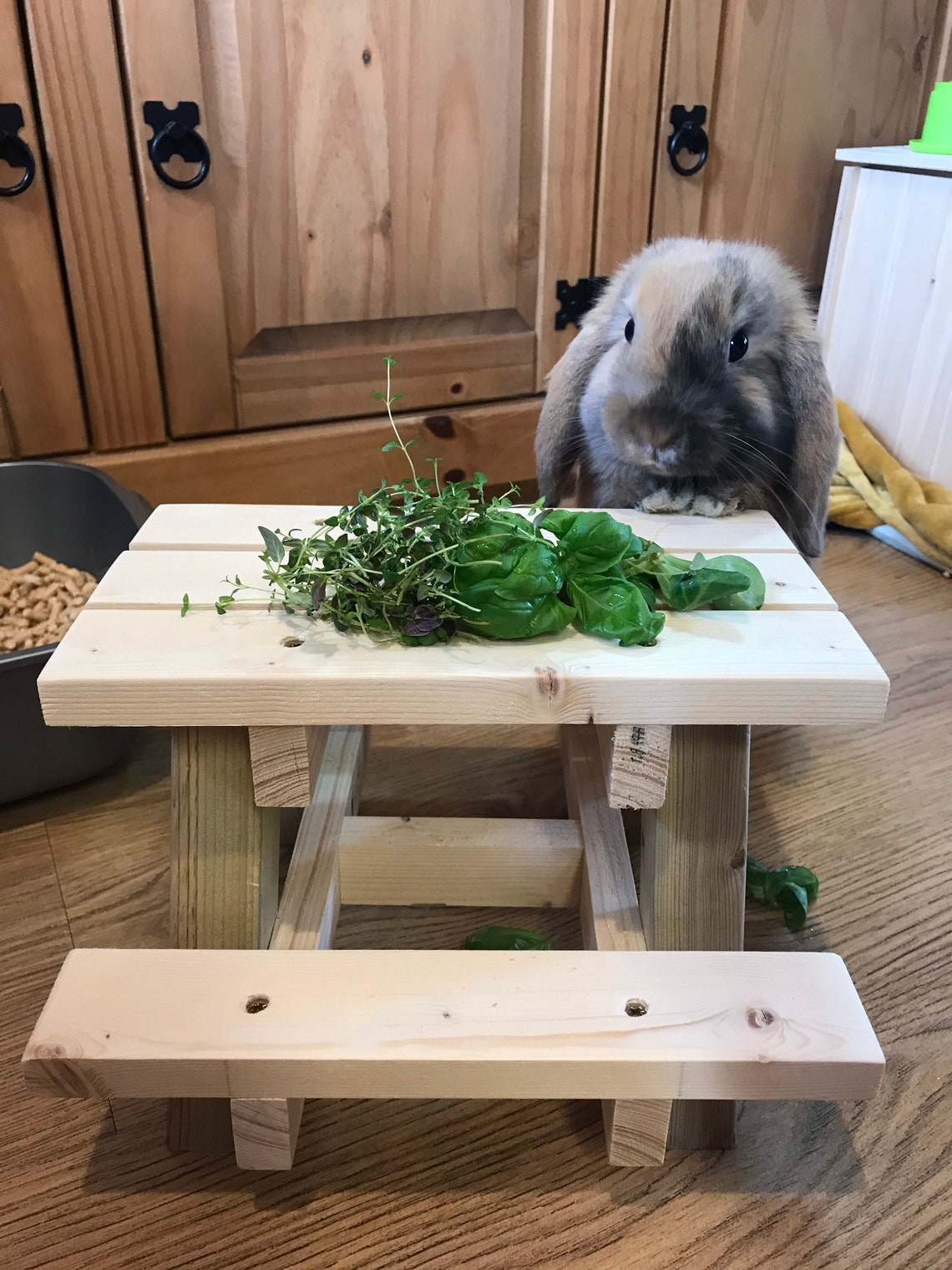 Rabbit picnic feeding table bunny feeding station cute little Etsy