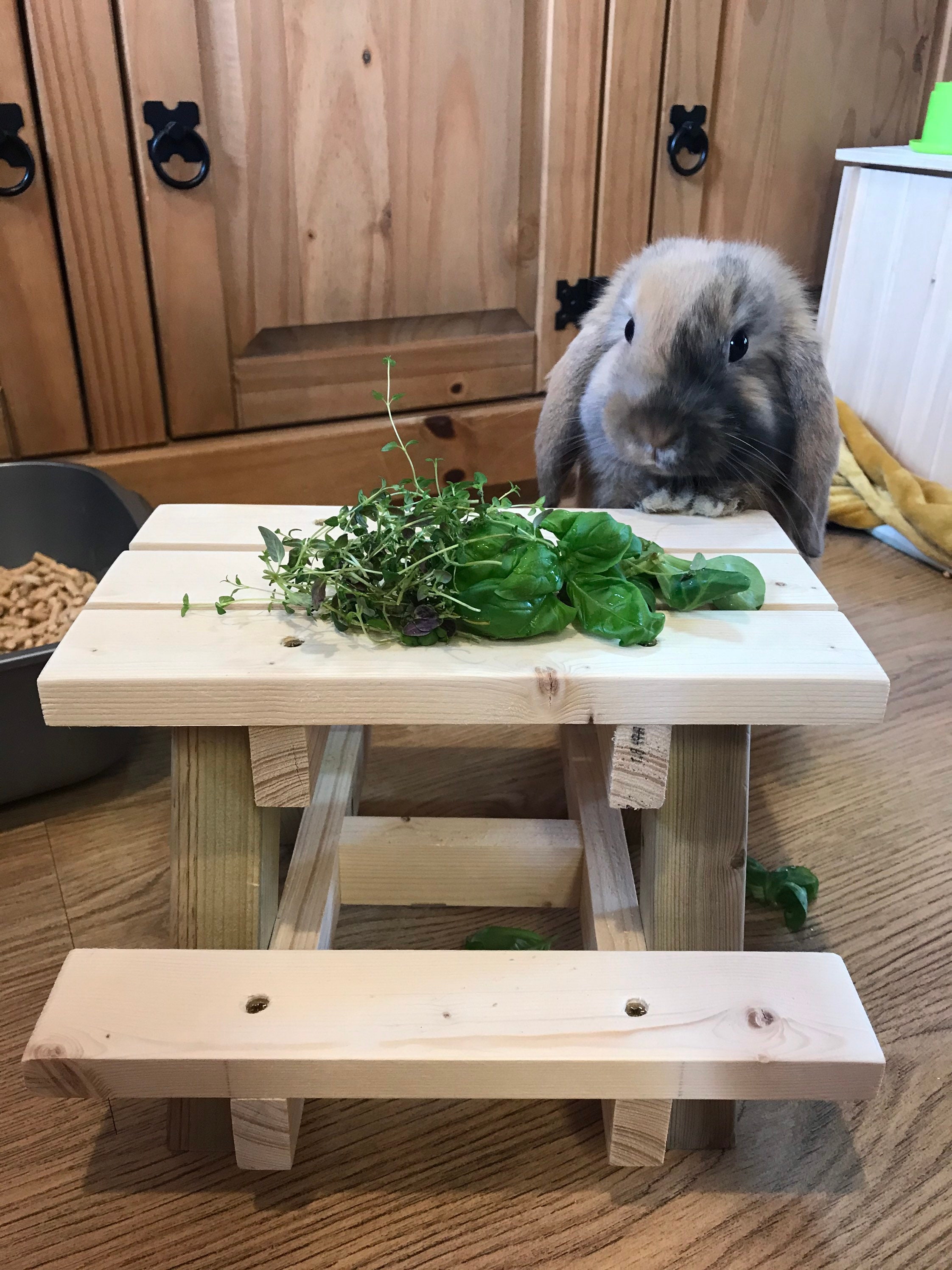 Rabbit picnic feeding table bunny feeding station cute little Etsy