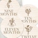Baby Milestone Cards, Boho milestone card, Wood milestone cards, pregnancy, baby shower gift, new baby gift