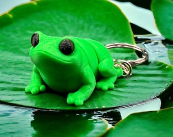 Frog Fidget Toy Keychain, Frog Gifts, 3D Printed Keyring, Under 5 pounds