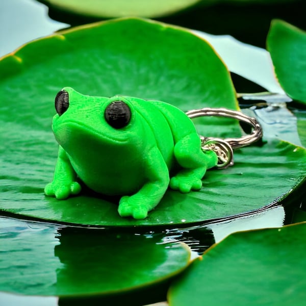 Porte-clés grenouille, jouet agité, cadeaux grenouille, porte-clés imprimé en 3D, moins de 5 livres