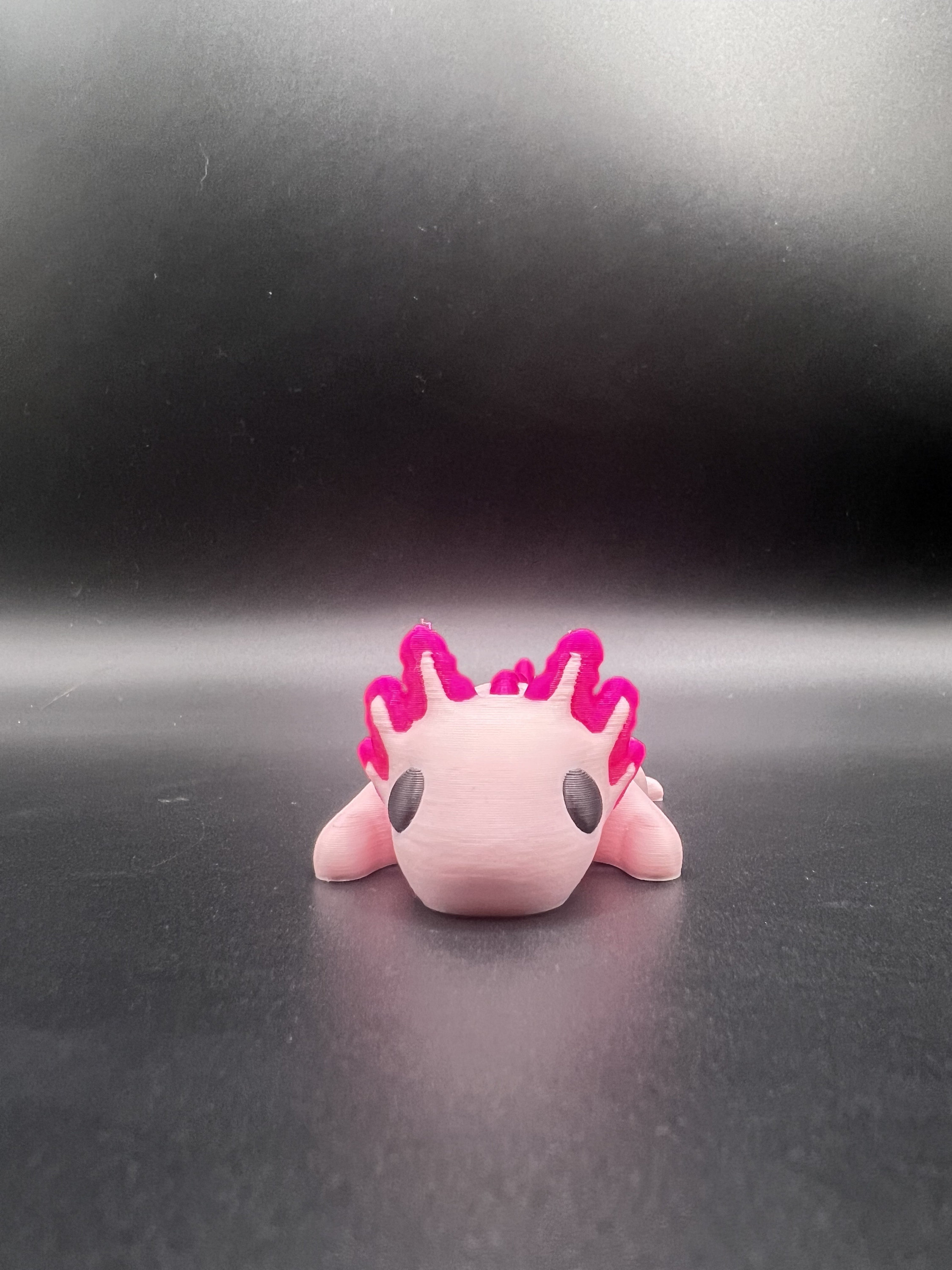 Portachiavi Axolotl Positivo Con Incisione Motivazionale – Regalo Incoraggiante Per Amici E Studenti - 3