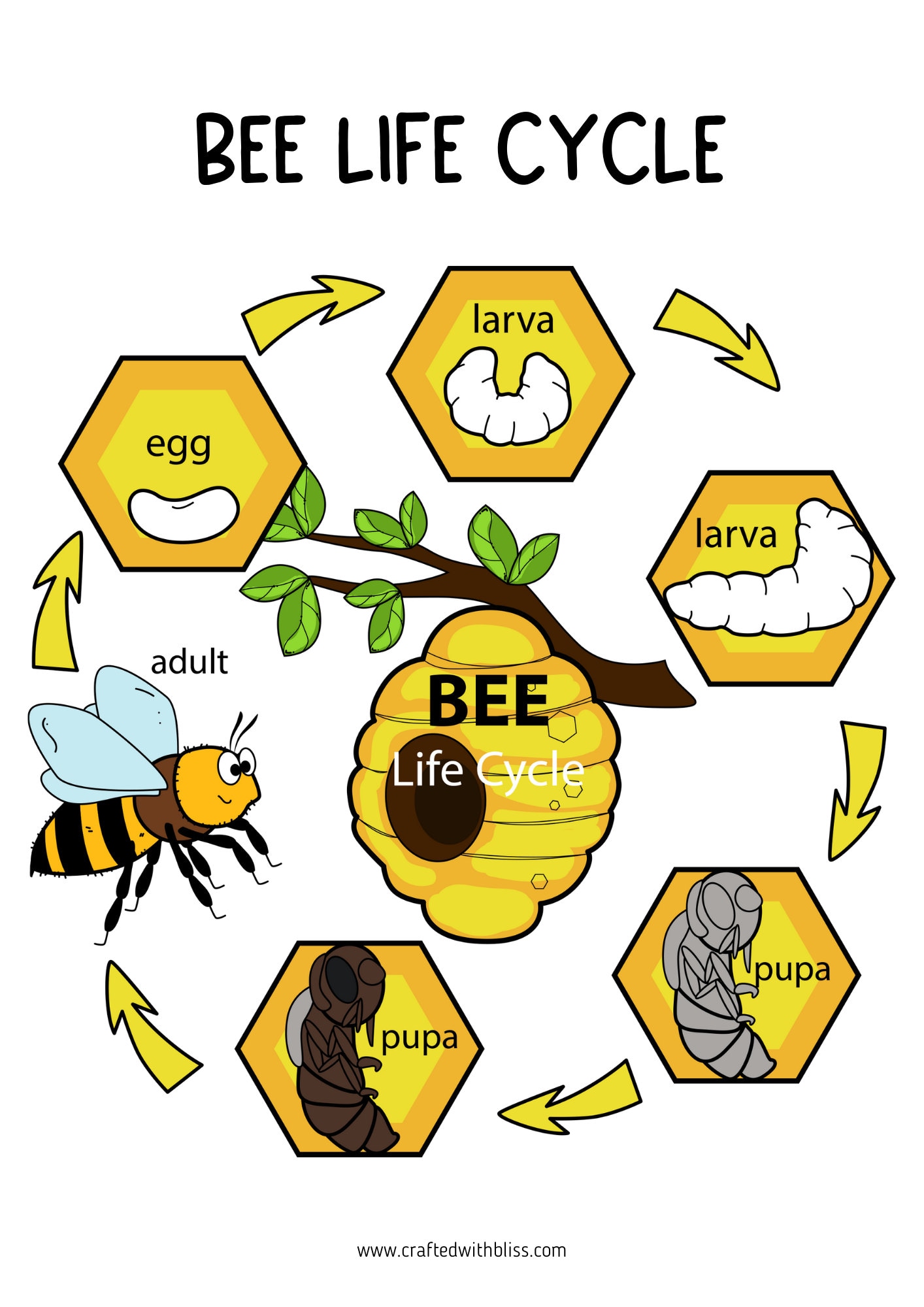 Bee Activity Pack Bee Printable for Pre-k Science Preschool - Etsy