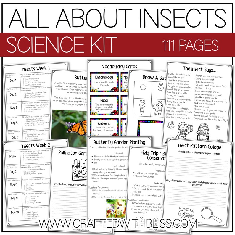 Insect Week Printable All About Insects Science K-2 Worksheet Activity 2 Week Plan - Etsy