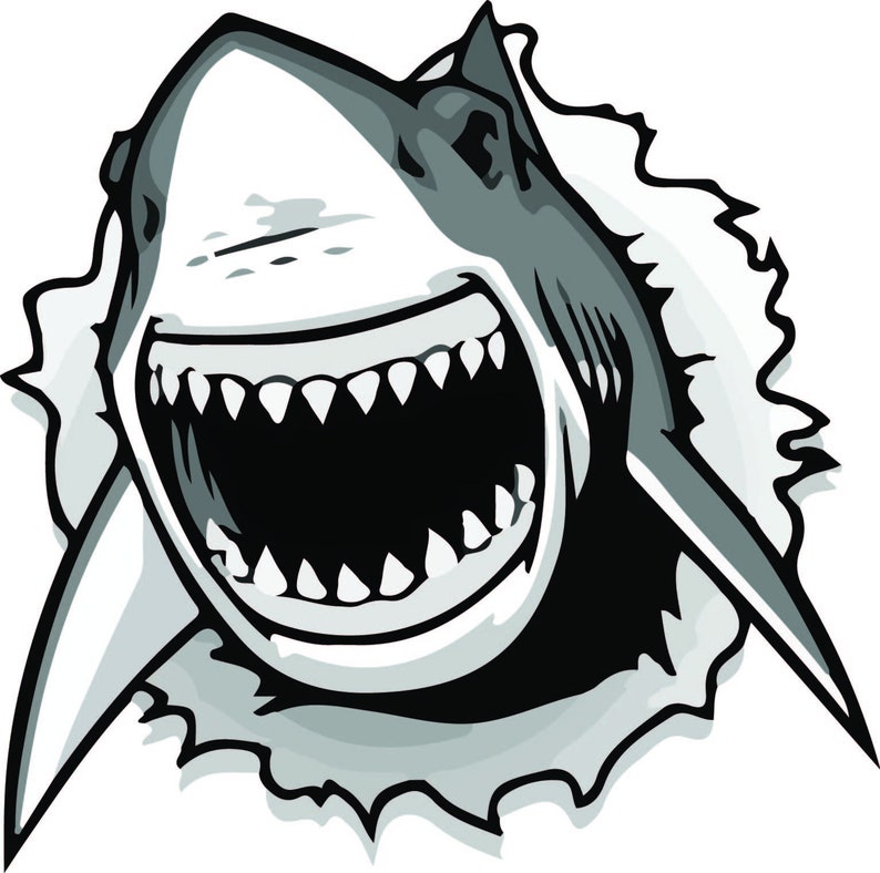 Free Free 274 Shark Week Period Svg SVG PNG EPS DXF File