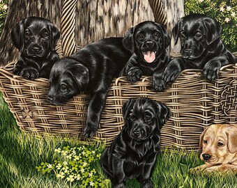 Könnte beinhalten: Ein bezaubernder Druck mit sechs Labrador Retriever Welpen. Fünf schwarze Welpen befinden sich in einem Weidenkorb, während ein goldener Welpe auf dem grünen Gras spielt. Ein Baum und eine Steinmauer bilden den Hintergrund.