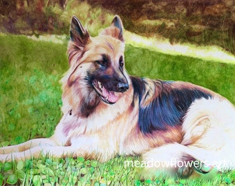 Custom Portrait of Pet, Pet Memorial Drawing, Pet Loss Gift, Dog Mom, Dog Dad, Furbaby, Animal lover gift, Pet Drawing, Colored Pencil