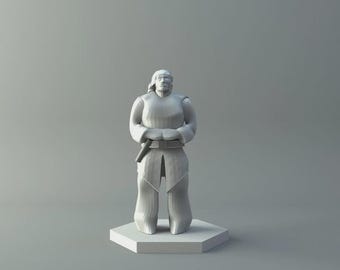 Human DnD 3D Prints | Custom Miniature for Dungeons and Dragons | Fantasy Tabletop TTRPG Character Figure