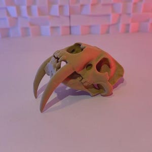 Sabertooth Skull Replica – Prehistoric Smilodon Fossil Model | 3D Printed Ancient Animal Skull for Paleo Decor or Study Display