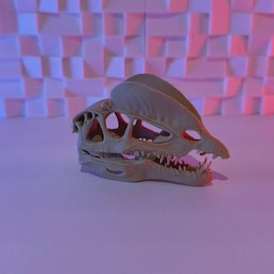 Dilophosaurus Skull Replica – 3D Printed Dinosaur Fossil Model | Jurassic Decor, Prehistoric Display, Paleo Art, Museum Prop