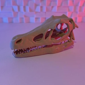 Velociraptor Skull Replica – Dinosaur Fossil Model | 3D Printed Jurassic Decor, Paleontology Gift, Raptor Skeleton Display