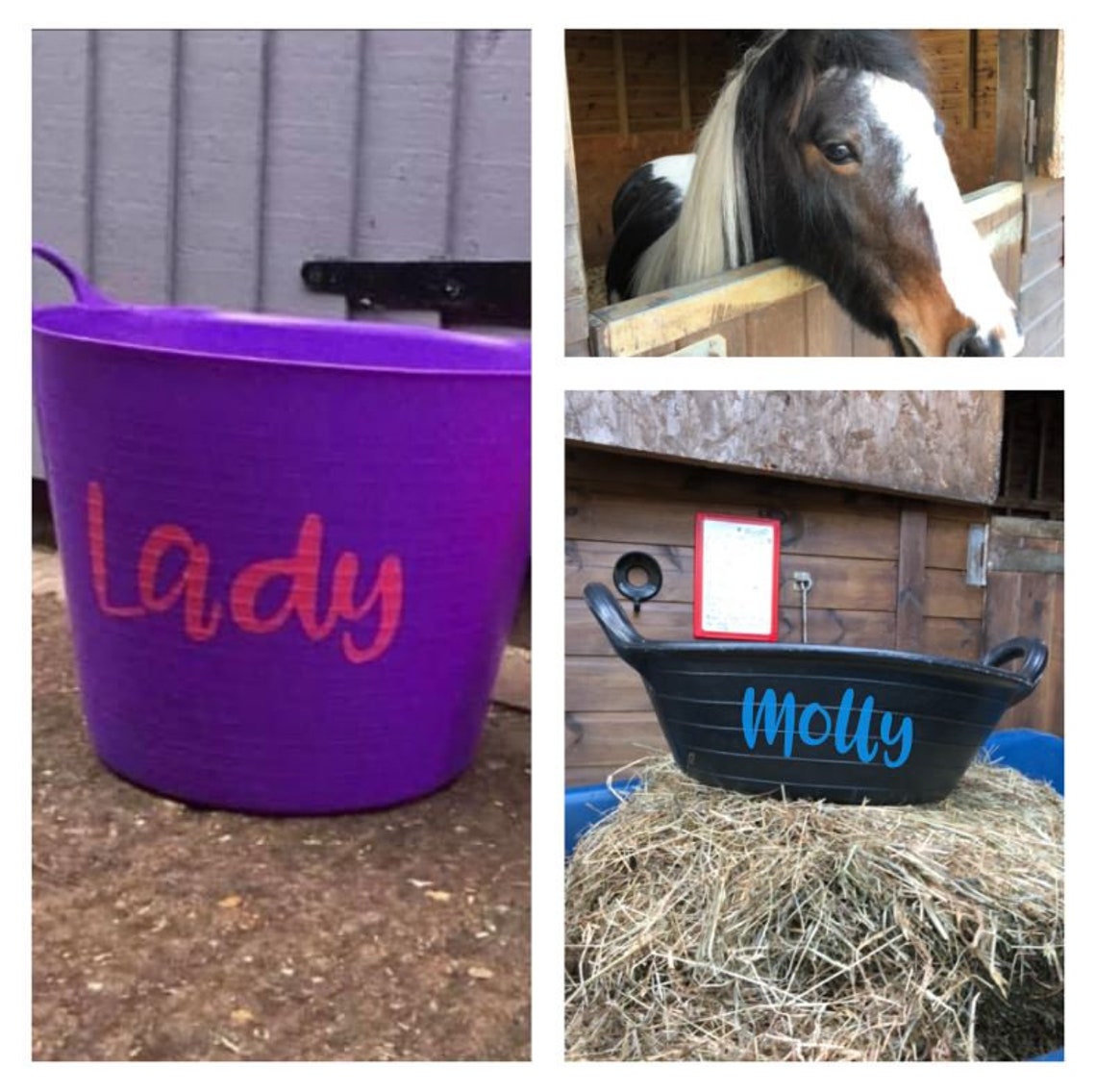 Horse Feed Bucket Stickers 2 Grooming Kid Stickers Feed Bin Etsy