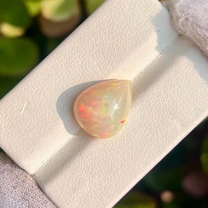 May include: A pear-shaped opal gemstone with a mix of orange, pink, and white hues, set on a white display card. The gemstone is held by a gloved hand, with a backdrop of green foliage.