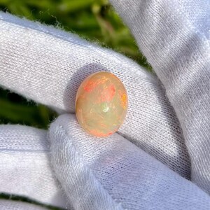 May include: A round, oval-shaped opal gemstone with a light pink, orange, and green color pattern. The opal is being held in a white glove.