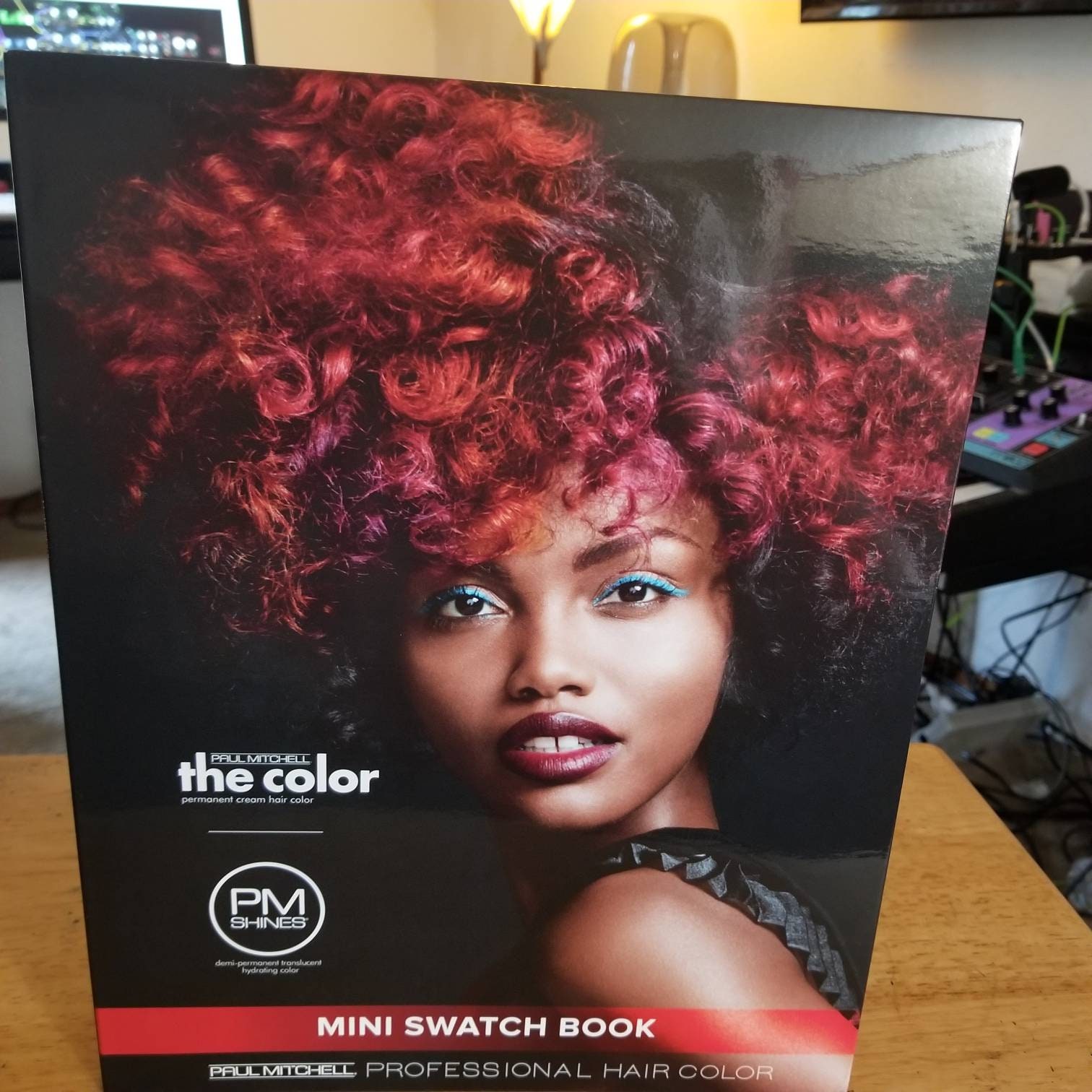 The Color by Paul Mitchell hair swatch book